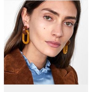 NWOT Woman Fashion Earrings